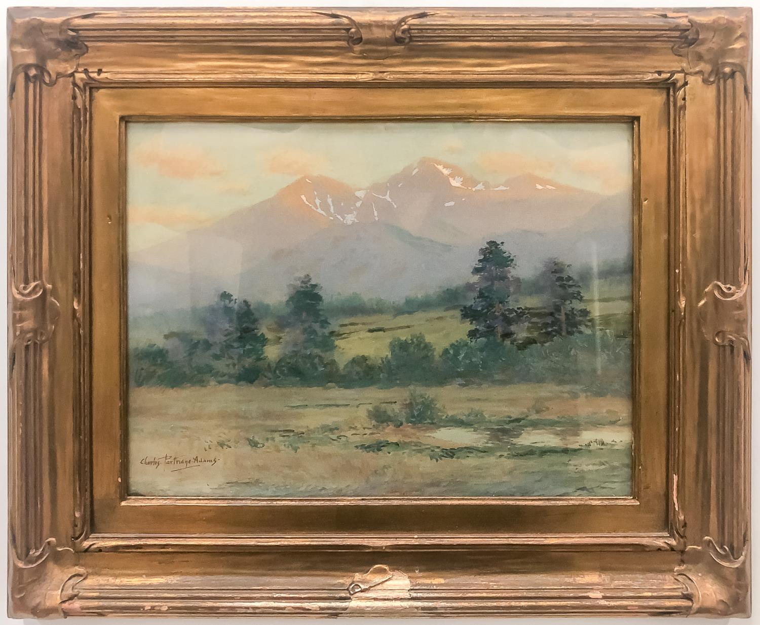 CHARLES PARTRIDGE ADAMS, SPRING