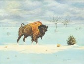 CHARLES R. SAWYER WESTERN BUFF