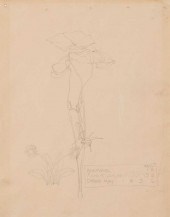 CHARLES RENNIE MACKINTOSH (186