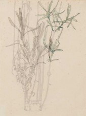 CHARLES RENNIE MACKINTOSH (186