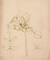 CHARLES RENNIE MACKINTOSH (186