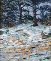 CHARLES SALIS KAELIN  (america