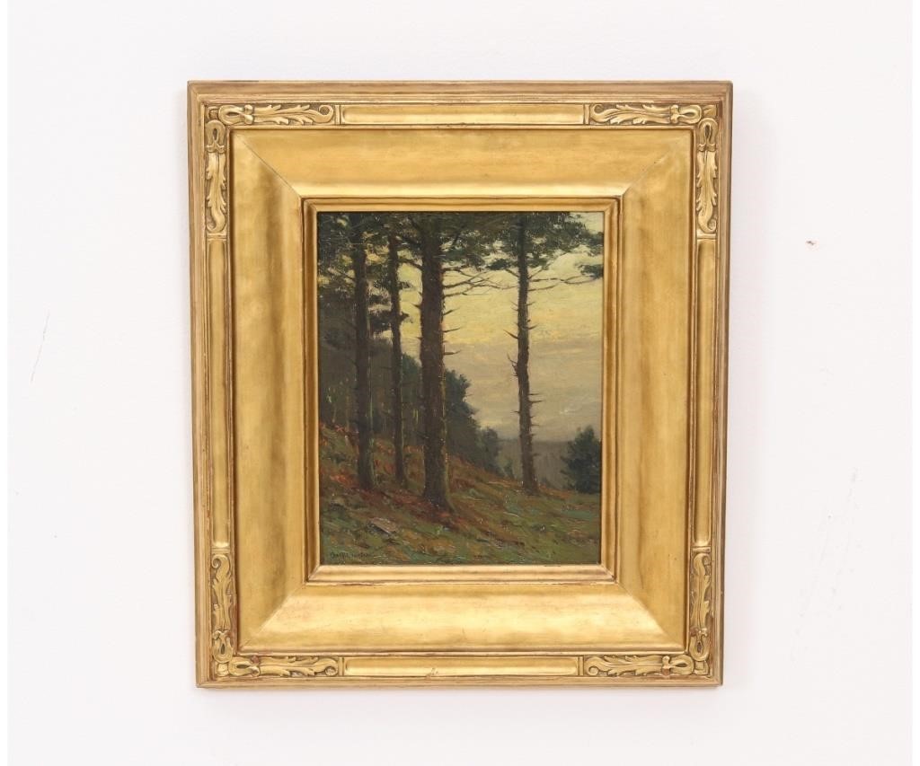 Charles Warren Eaton (1857 -