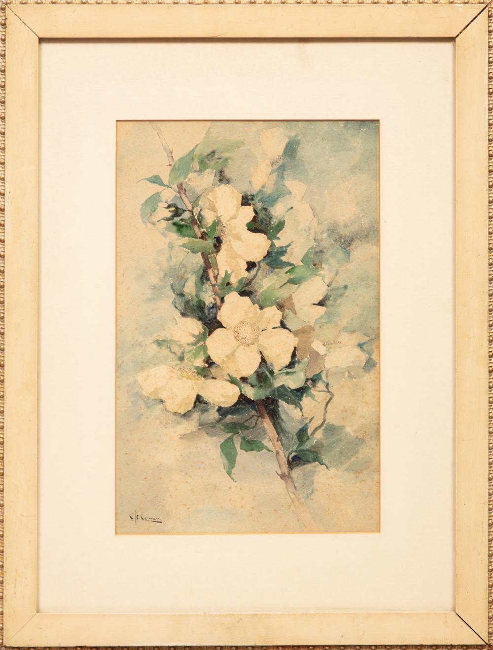 CHARLOTTE BUELL COMAN