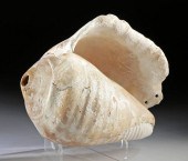 CHAVIN SEASHELL MUSICAL INSTRU