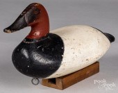 CHESAPEAKE BAY CANVASBACK DUCK