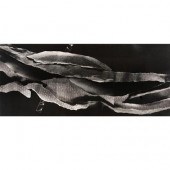 CHIARENZA, CARL (b. 1935) [Lar