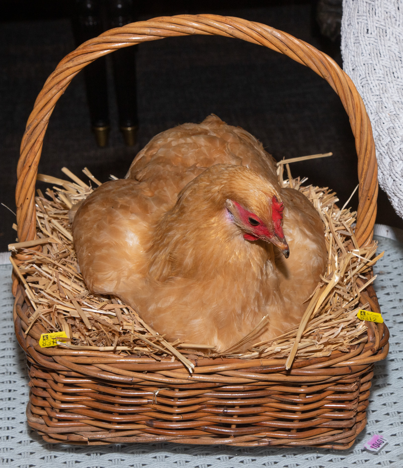 CHICKEN IN A BASKET .
