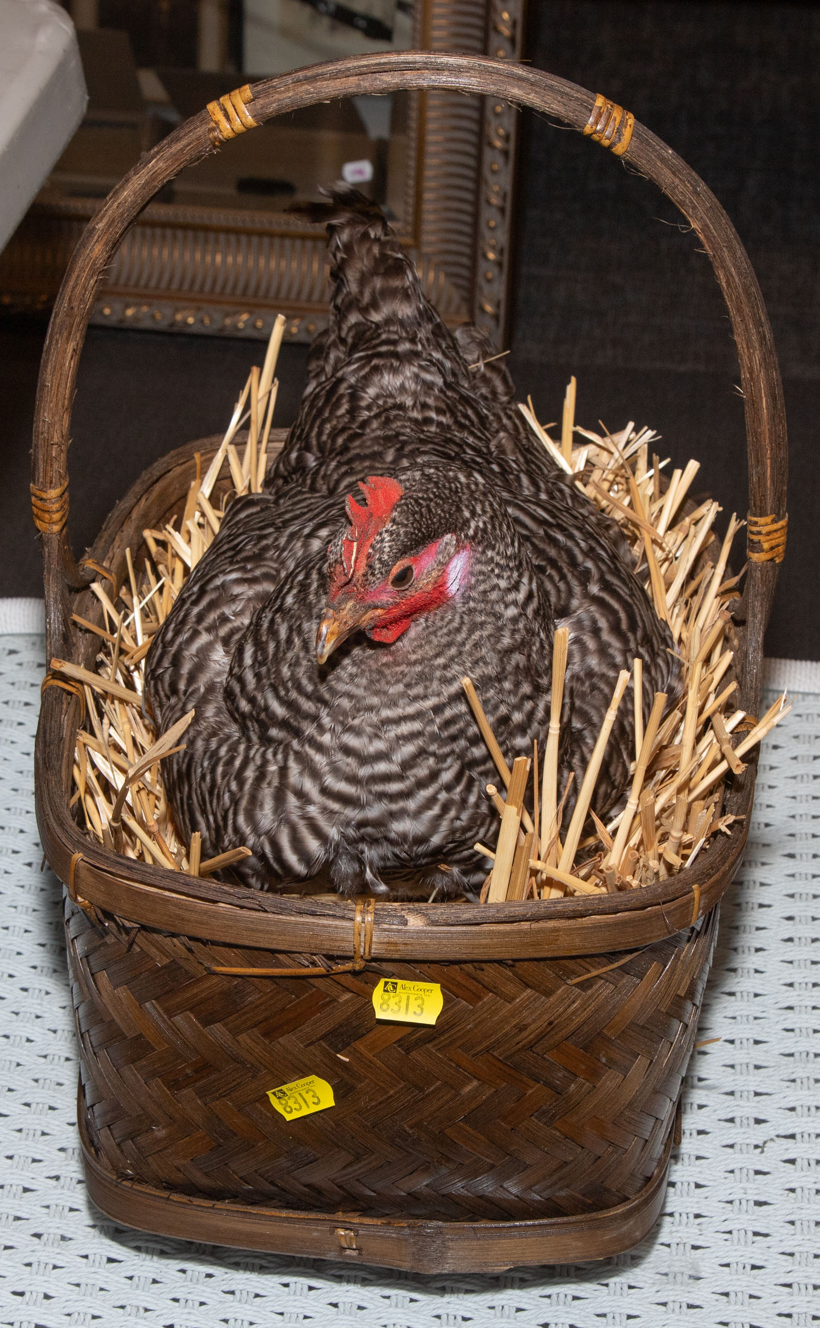 CHICKEN IN A BASKET .