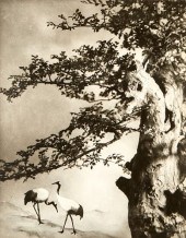 CHIN SAN LONG PHOTOGRAPH - A P