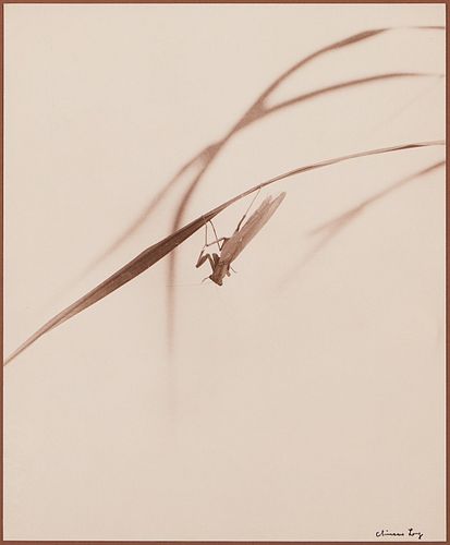 CHIN SAN LONG PHOTOGRAPH -