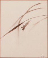 CHIN SAN LONG PHOTOGRAPH - MAN