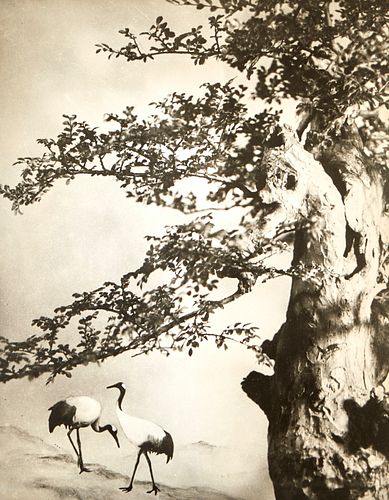CHIN SAN LONG PHOTOGRAPH - A PAIR