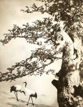 CHIN SAN LONG PHOTOGRAPH - A P