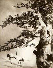 CHIN SAN LONG PHOTOGRAPH A PAI