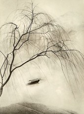 CHIN SAN LONG PHOTOGRAPH "SPRI