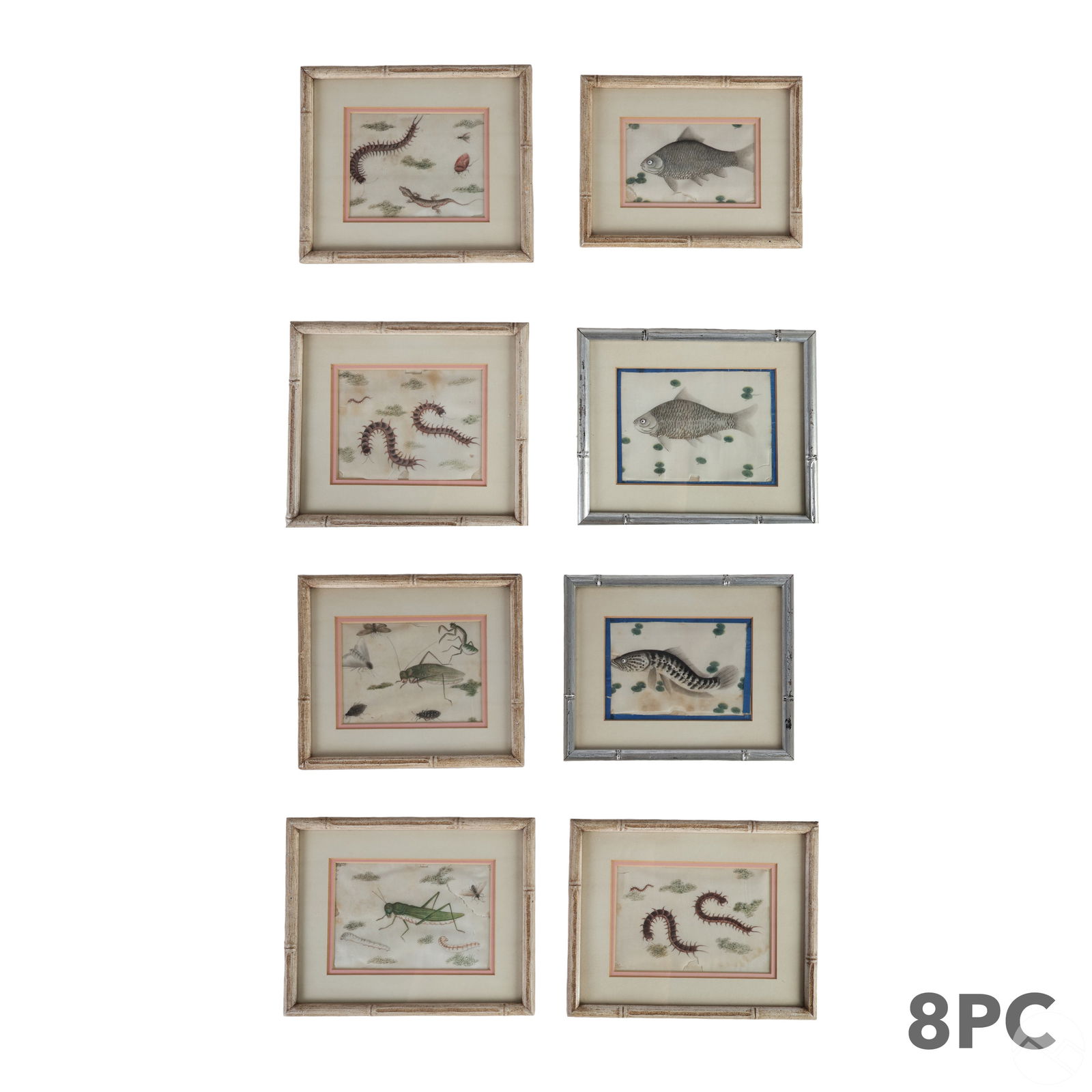 CHINESE 19C. FISH & INSECT PITH