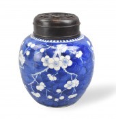 CHINESE BLUE & WHITE PRUNUS JA
