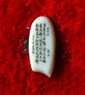 Chinese Boxed Ivory Miniature