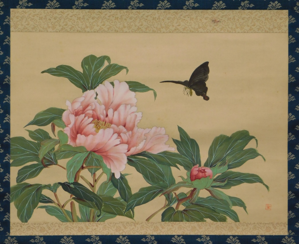 CHINESE BUTTERFLY CHRYSANTHEMUM