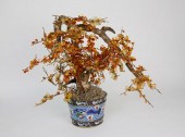 CHINESE CARNELIAN TREE IN A CL
