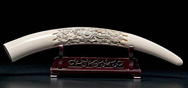 Chinese Carved Ivory Tusk Chinese