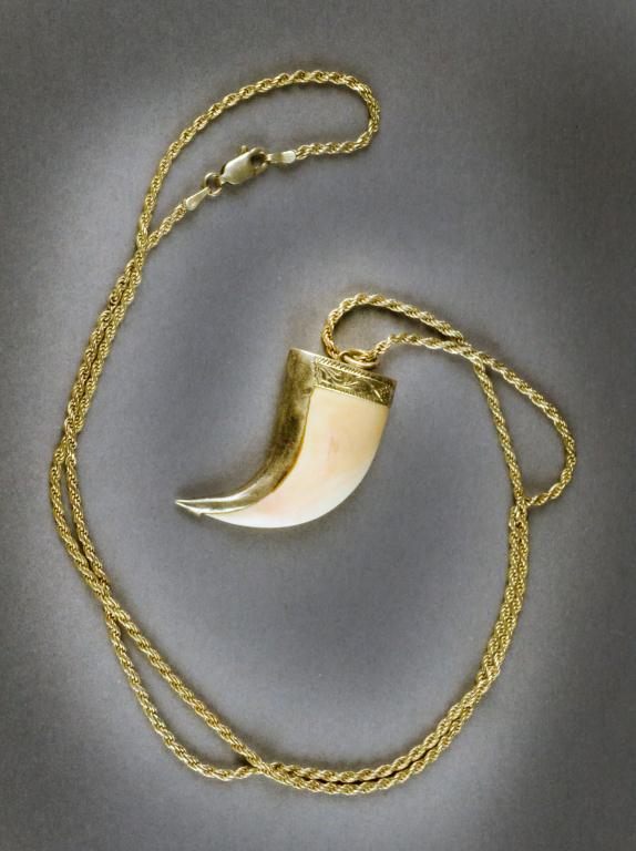 Chinese Carved Tiger Claw And