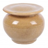 CHINESE COVERED APRICOT CELADO
