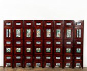 CHINESE EIGHT-PANEL FAMILLE RO