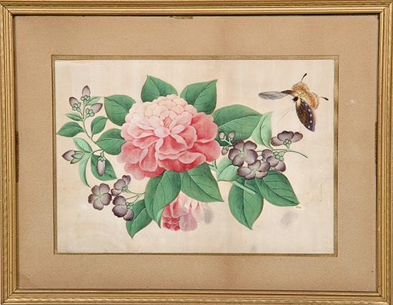 Chinese Export botanical
