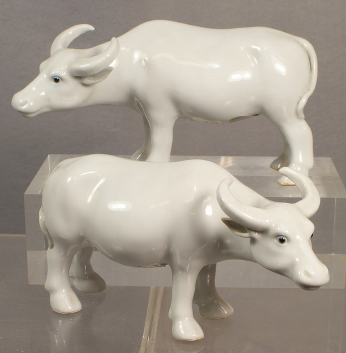 Chinese export porcelain Blanc de
