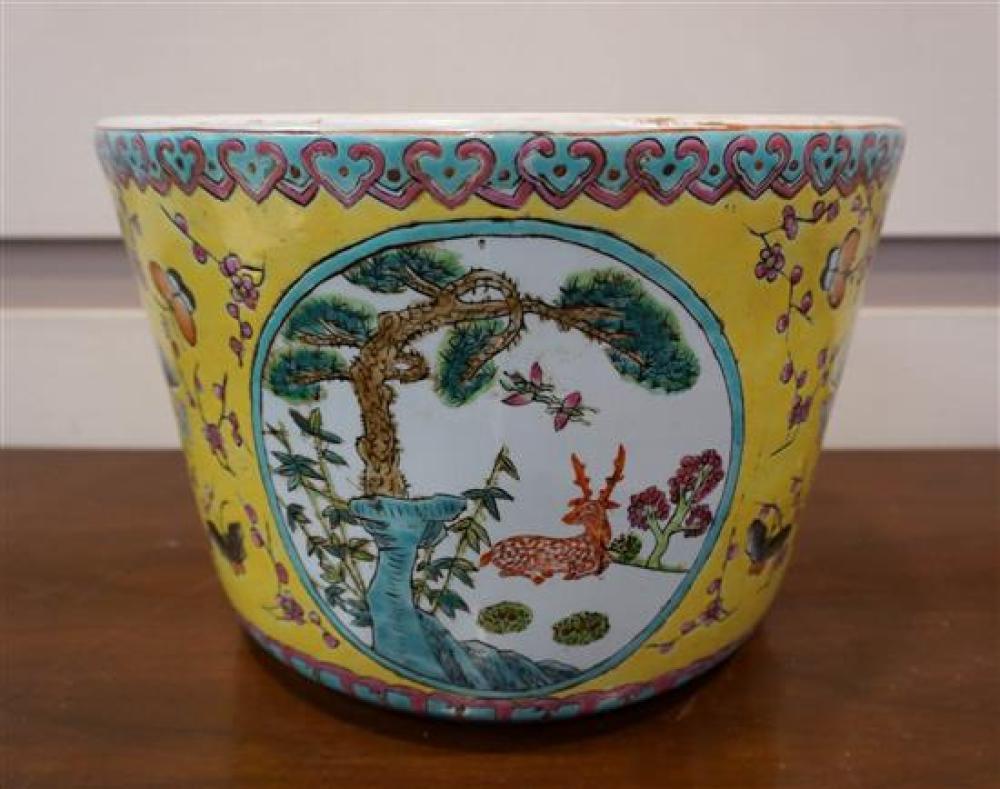 CHINESE 'FAMILLE JAUNE'