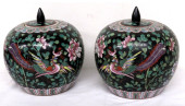 CHINESE FEATHERED DRAGON PORCE