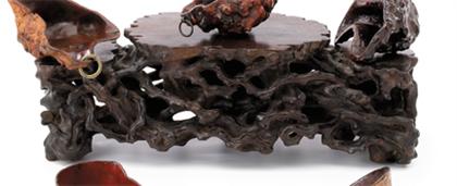 Chinese Jichimu three tier root