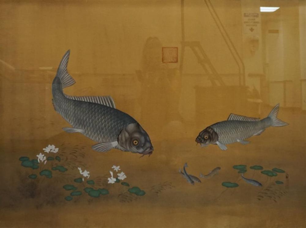 CHINESE KOI FISH IN A POND,