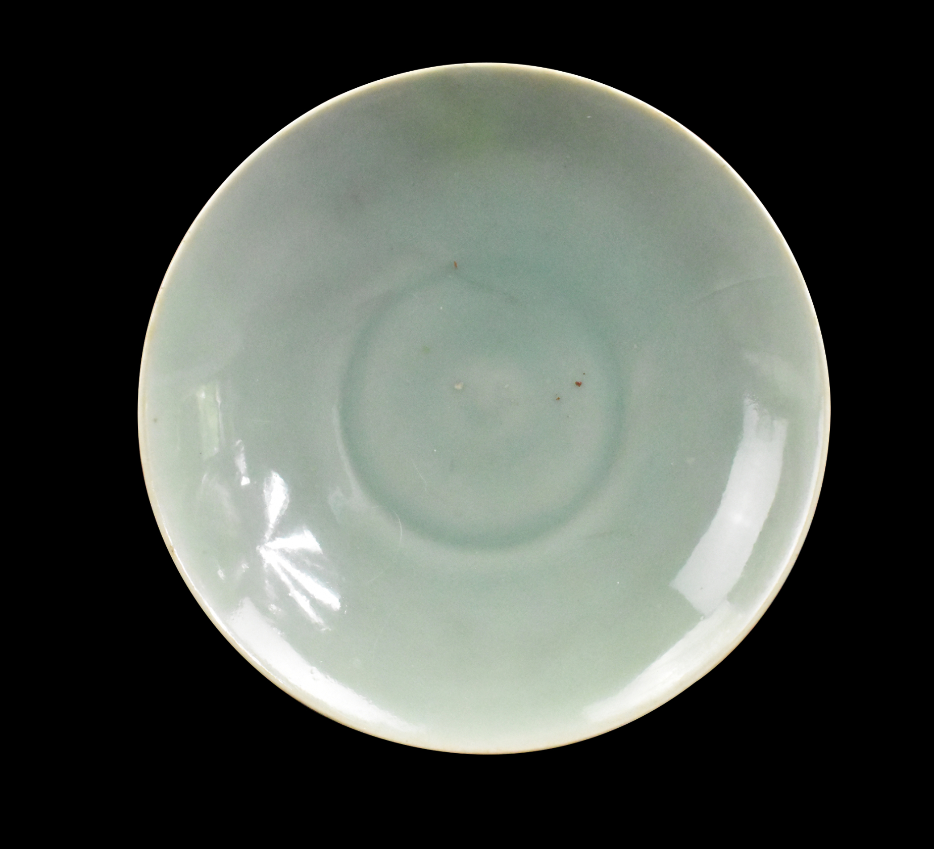 CHINESE LONGQUAN SHALLOW LOTUS