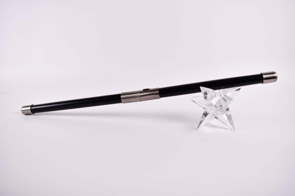 CHINESE METAMORPHIC DOUBLE SWORD