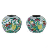 CHINESE PAIR PORCELAIN BOTANIC