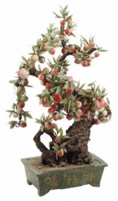 CHINESE PEACH TREE IN HARDSTON