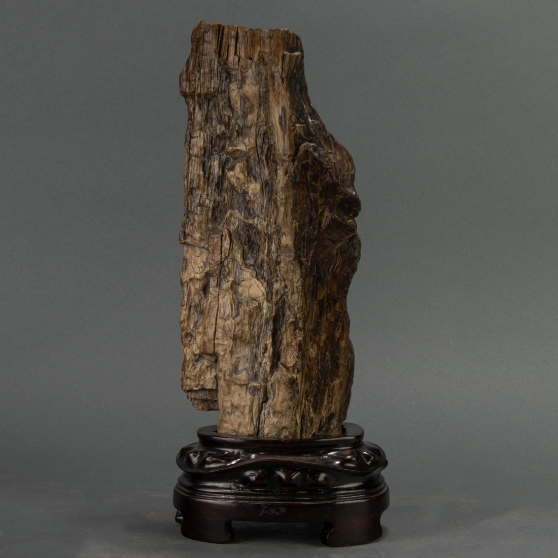 CHINESE PETRIFIED WOOD SCHOLAR'S