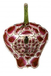 CHINESE PORCELAIN LOTUS LEAF-F