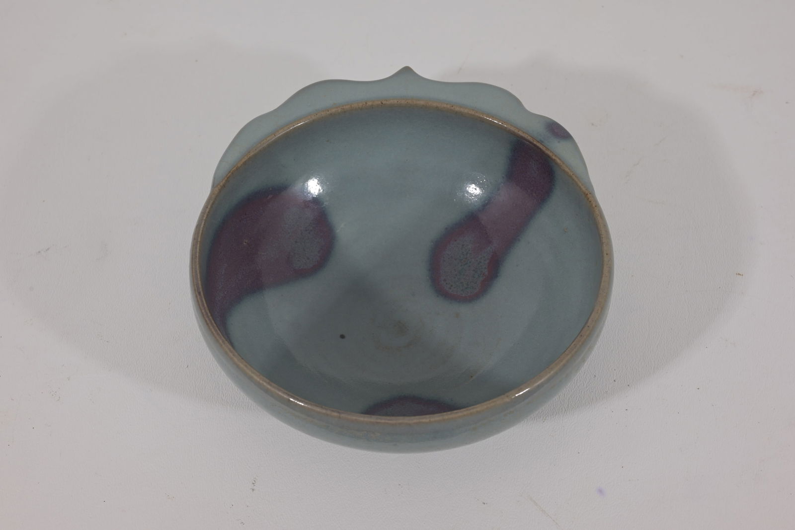 CHINESE PURPLE SPLSHED JUN-TYPE