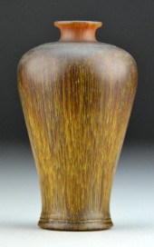 Chinese Rhinoceroses Horn Scho