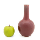 CHINESE SANG DE BOEUF BOTTLE V