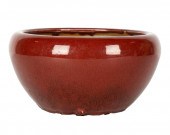 CHINESE SANG DE BOUEF PORCELAI