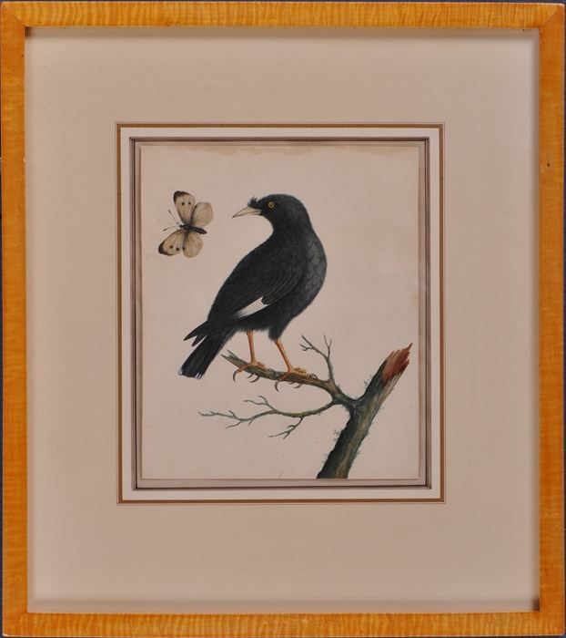 CHINESE SCHOOL: BIRD AND MOTH