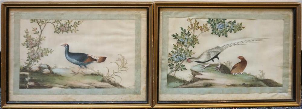 CHINESE SCHOOL, PHEASANTS, TWO
