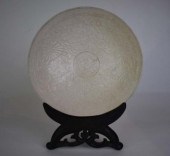 CHINESE SLIP DECORATED WHITE G