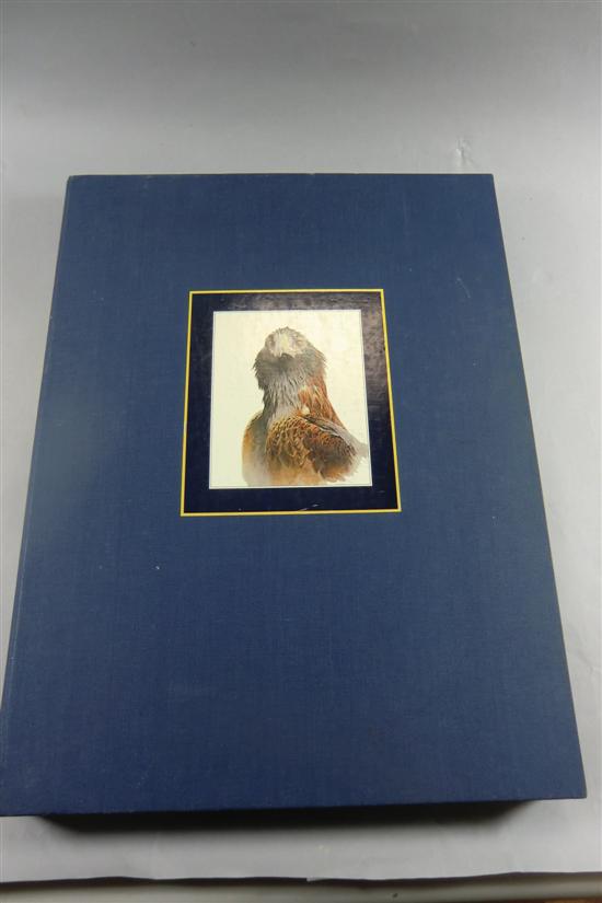 CHING (R) STUDIES & SKETCHES OF A