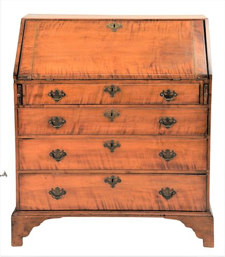 CHIPPENDALE MAPLE TIGER MAPLE